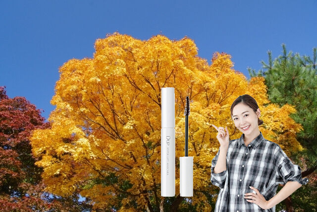 秋にもお勧めの一品